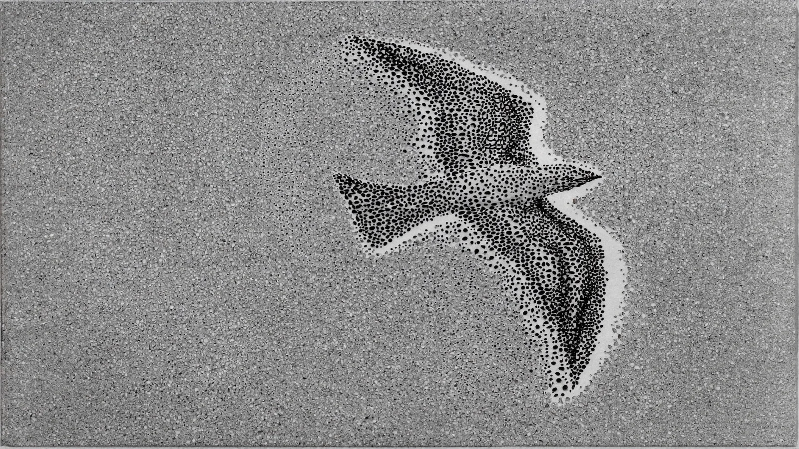 Nuée de points d'encre s'organisant en silhouette d'oiseau, noir et blanc